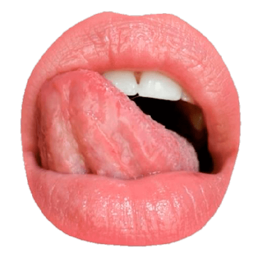 贴纸