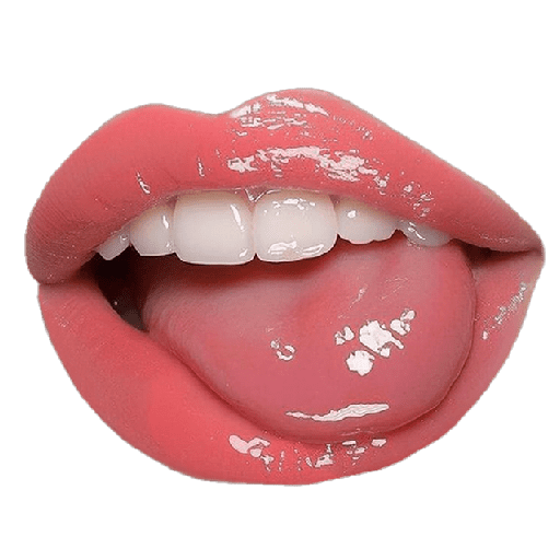 贴纸