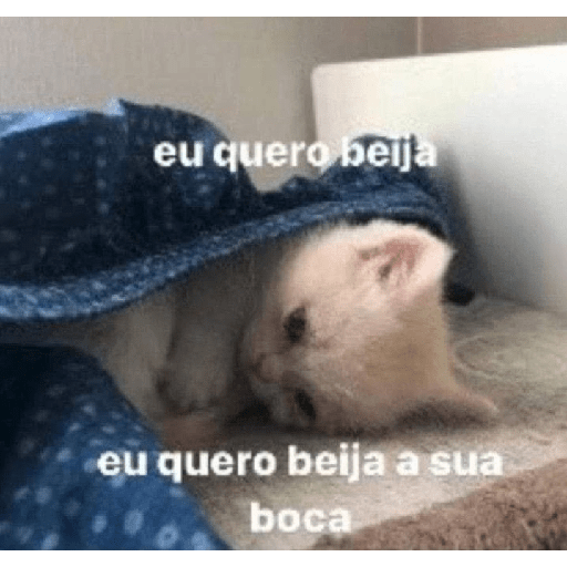 Stika