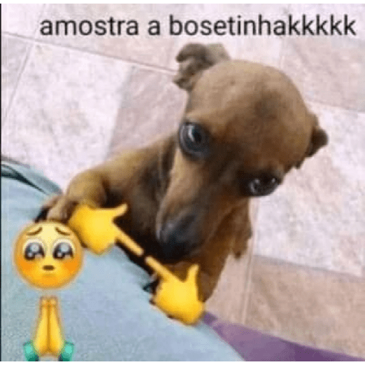 Stika