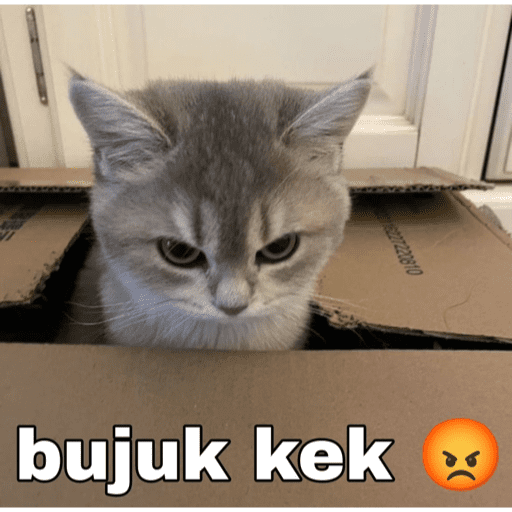 Стикер