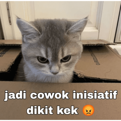 Стикер