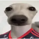 Naklejka
