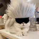 ملصق