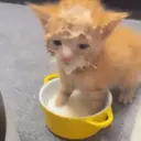 ملصق