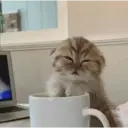 ملصق