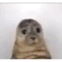 Stika