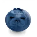 Stika